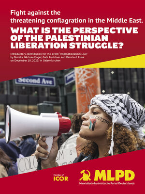 cover image of What is the perspective of the palestinian liberation struggle?